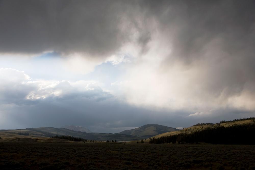 Plastic Is Falling From the Sky. But Where’s It Coming From?