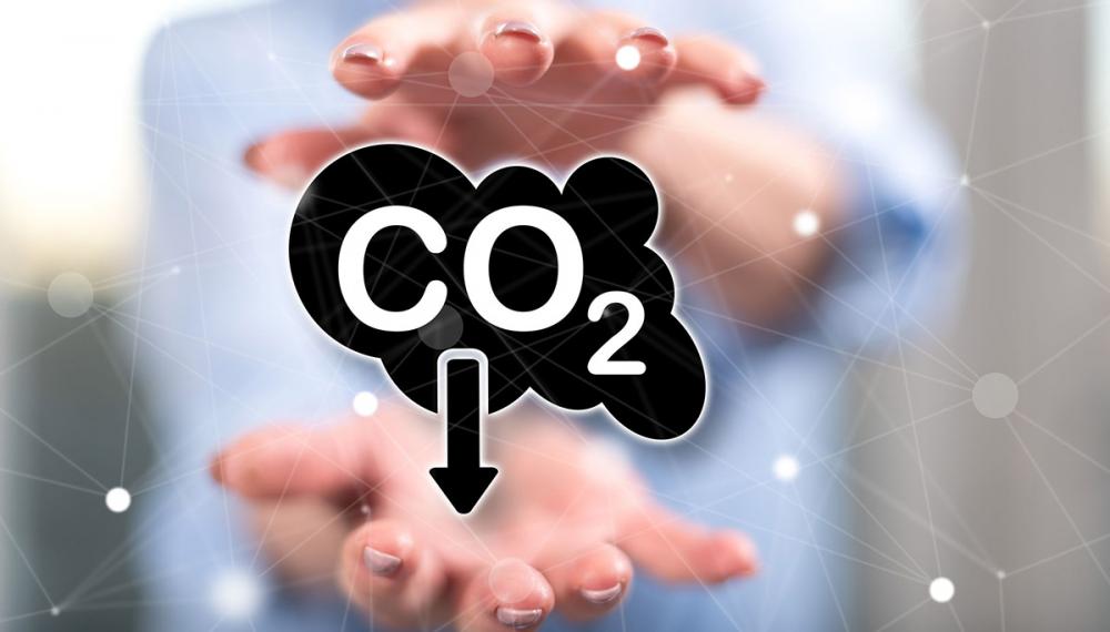 4 Steps to Prepare Your Data Center for Net Zero Carbon Emissions 